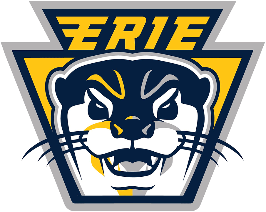 Erie Otters 2019 20-Pres Alternate Logo iron on paper